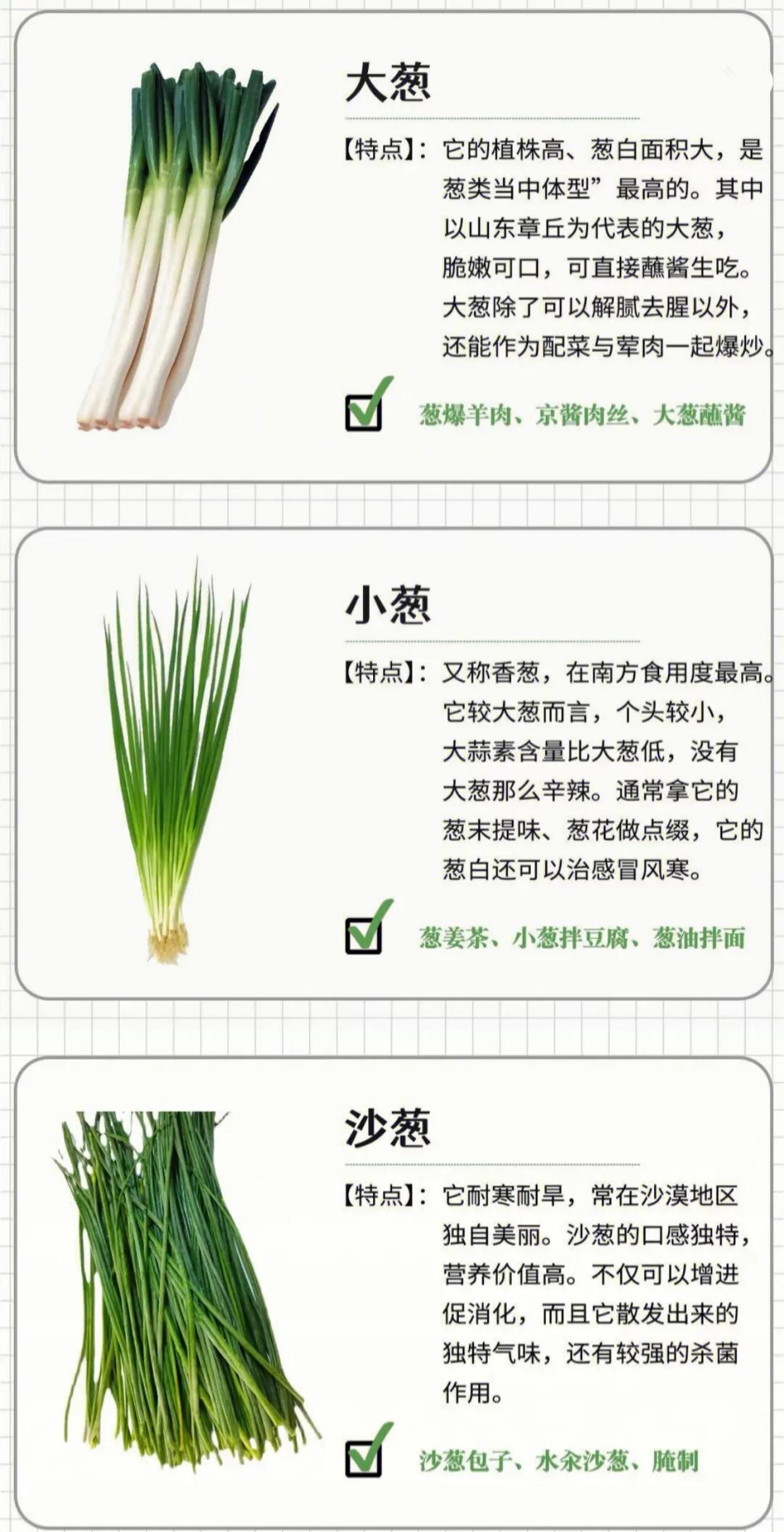 禾辉云文化科技 第23页