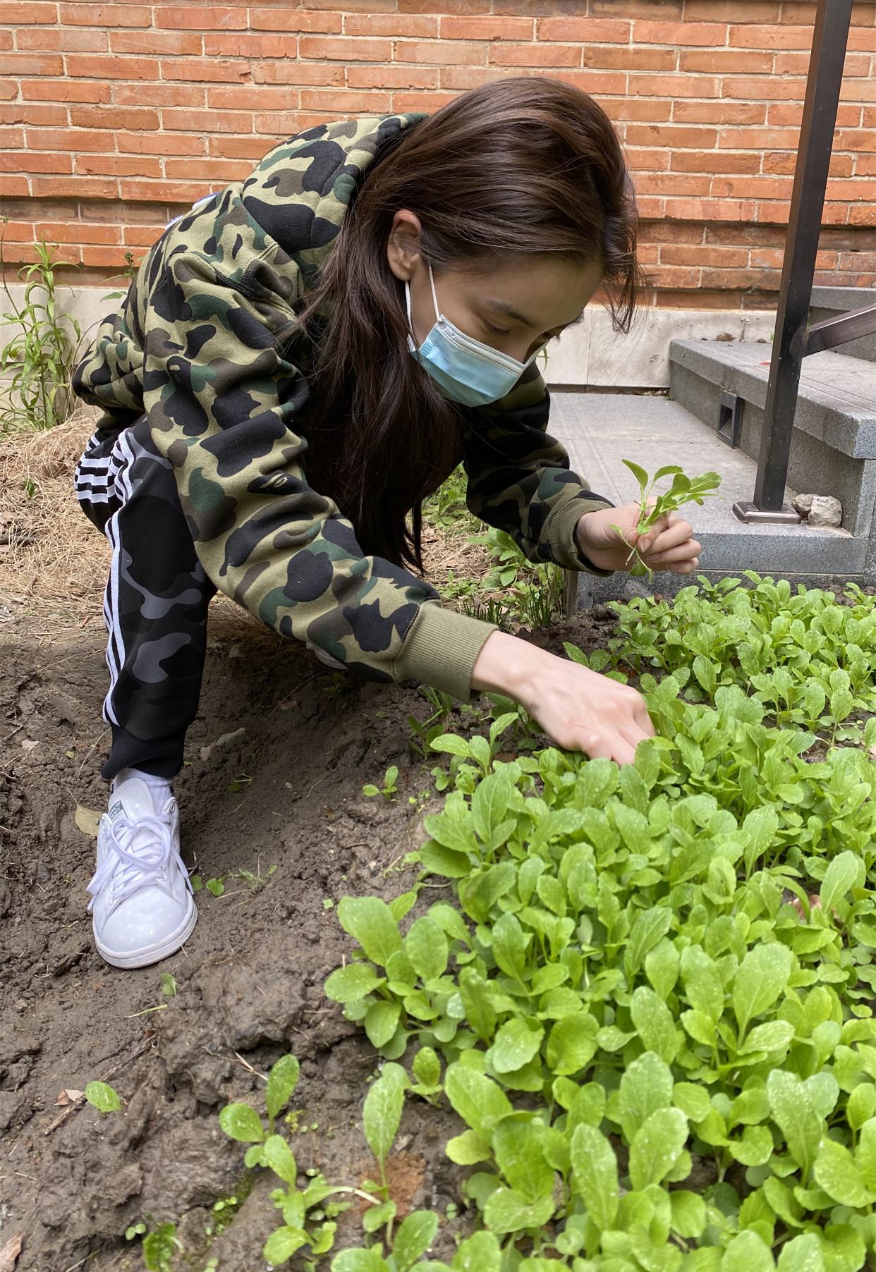 杭州大火保姆最新消息