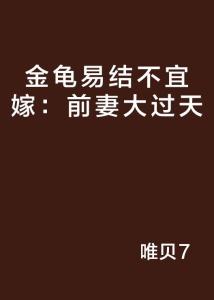 高科技产品的革新之旅，宠妻大过天最新章节