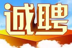 交汇点（或人才招聘
