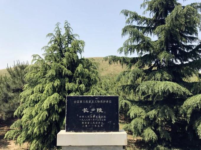 复员军人安置最新政策探索自然美景之旅的启程号角